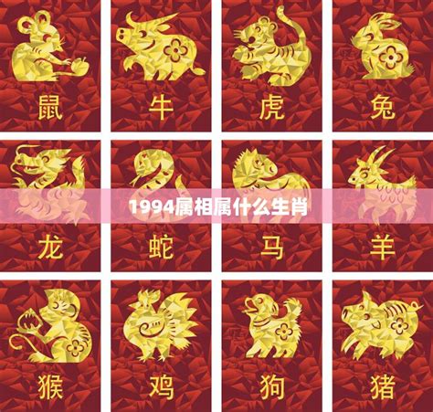 1994属|1994年属什么生肖 1994年出生的生肖是什么命